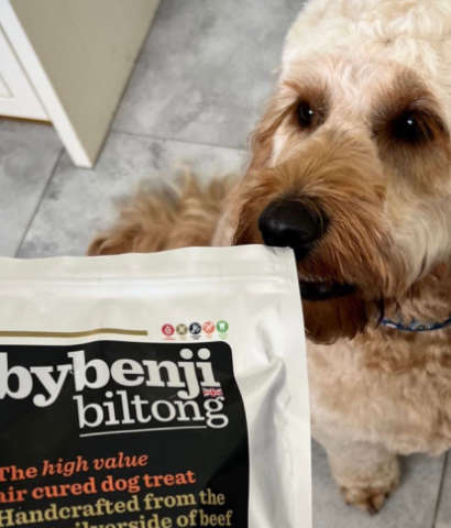 why-bybenji-packet-sniff